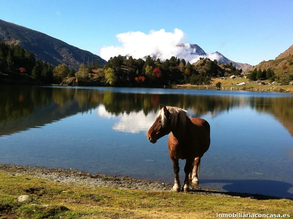 LLOGUER CERDANYA SL