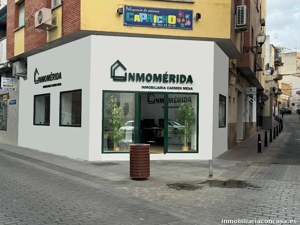 CARMEN MENA INMOMÉRIDA