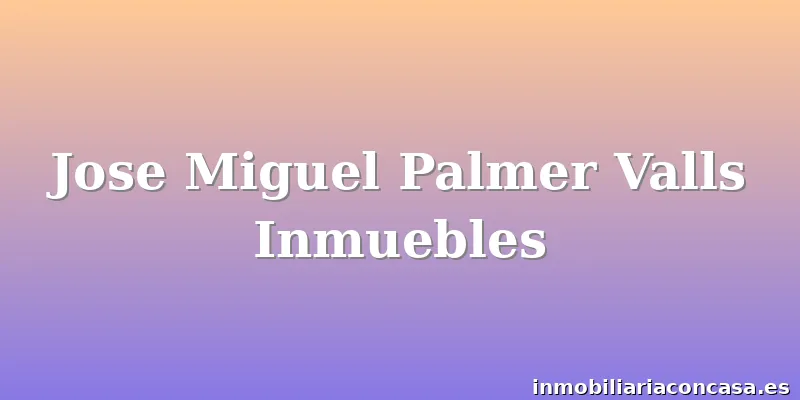 Jose Miguel Palmer Valls Inmuebles