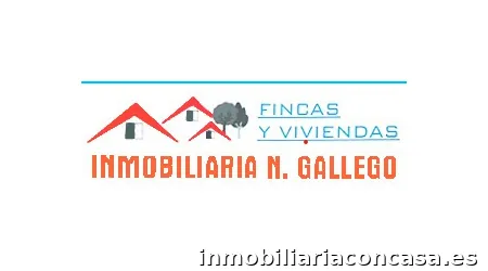 Inmobiliaria N. Gallego