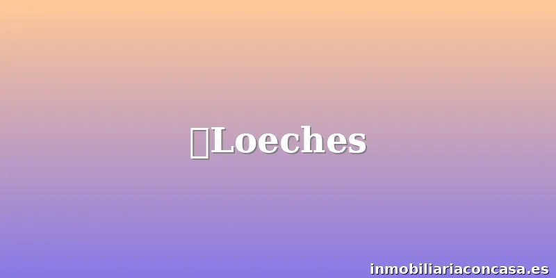 🏡Loeches