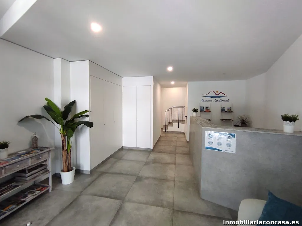 Alojamientos Aiguaneu