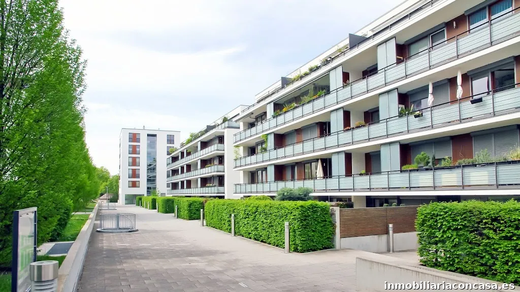 Misael Agente Inmobiliario