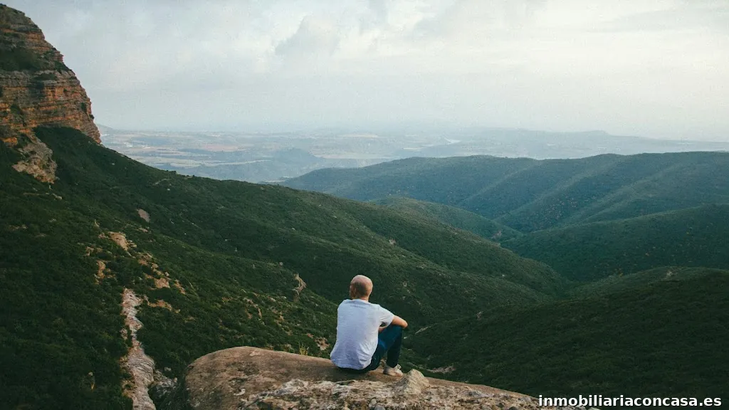 Servidis Facility Services SL