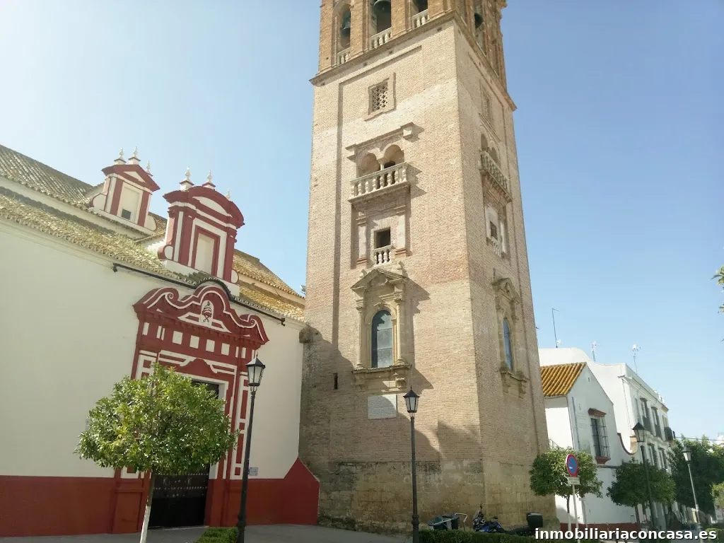 Imagen 4