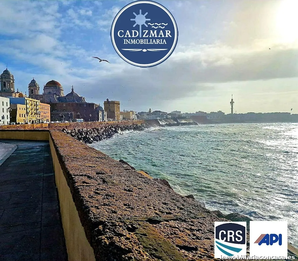 Cadizmar Inmobiliaria