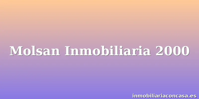 Molsan Inmobiliaria 2000