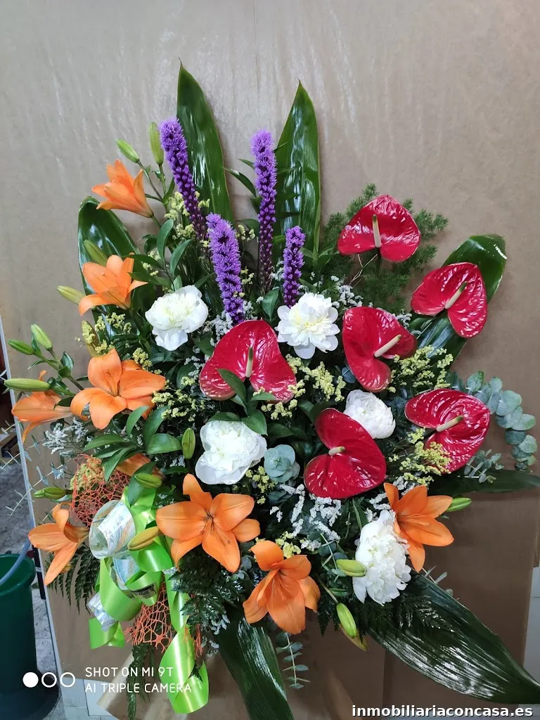 Floristeria Innovaflor