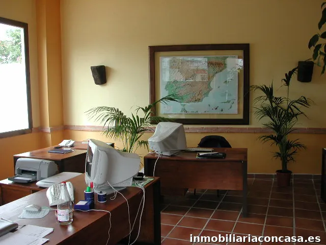 Imagen 2