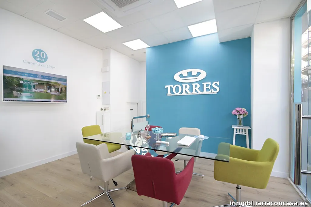 Grupo Torres Inmobiliaria - Constitución