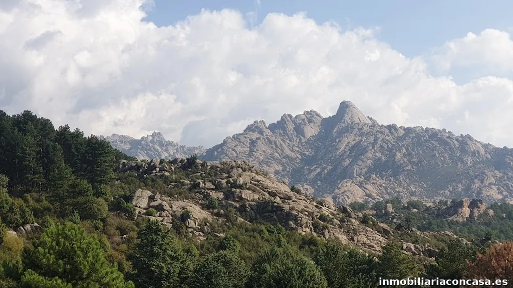 AS GESTION INMOBILIARA