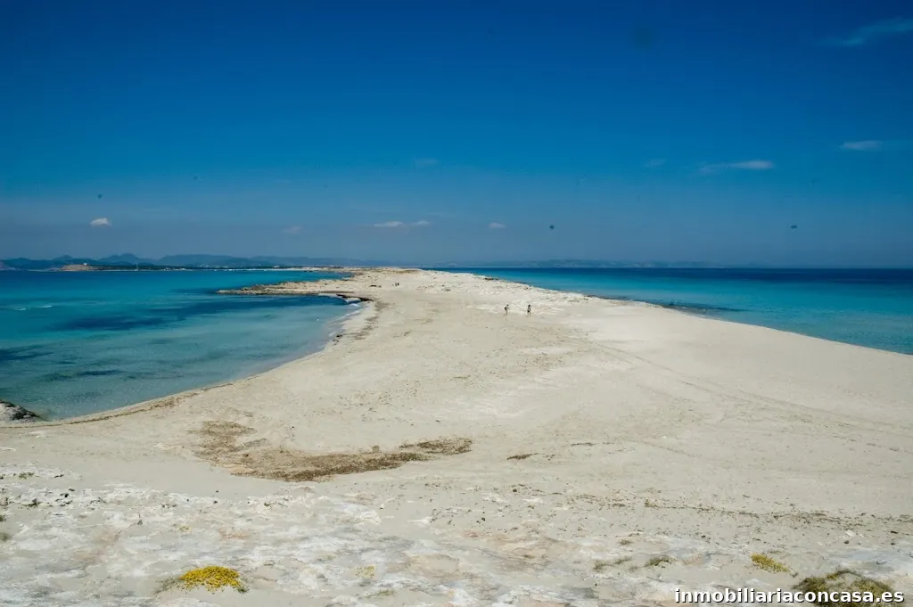 INMOBILIARIA CASA BLANCA FORMENTERA