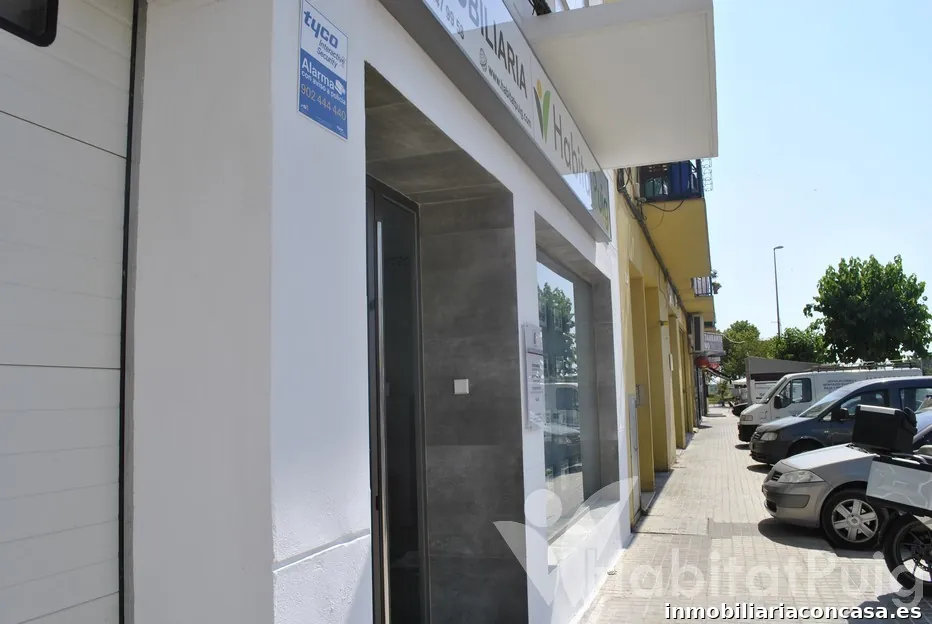 Imagen 4
