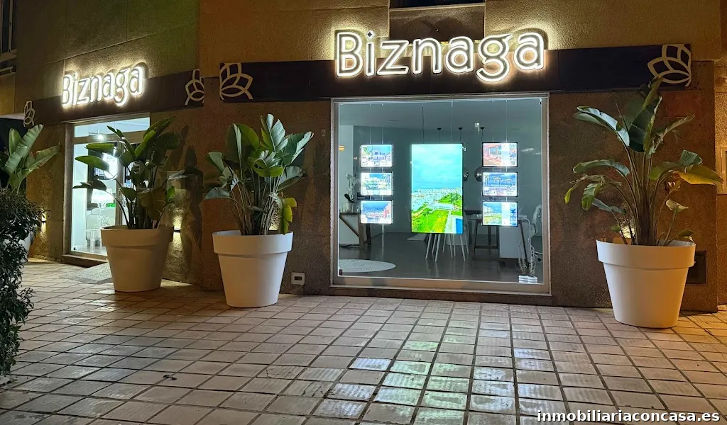 Biznaga Inmobiliaria