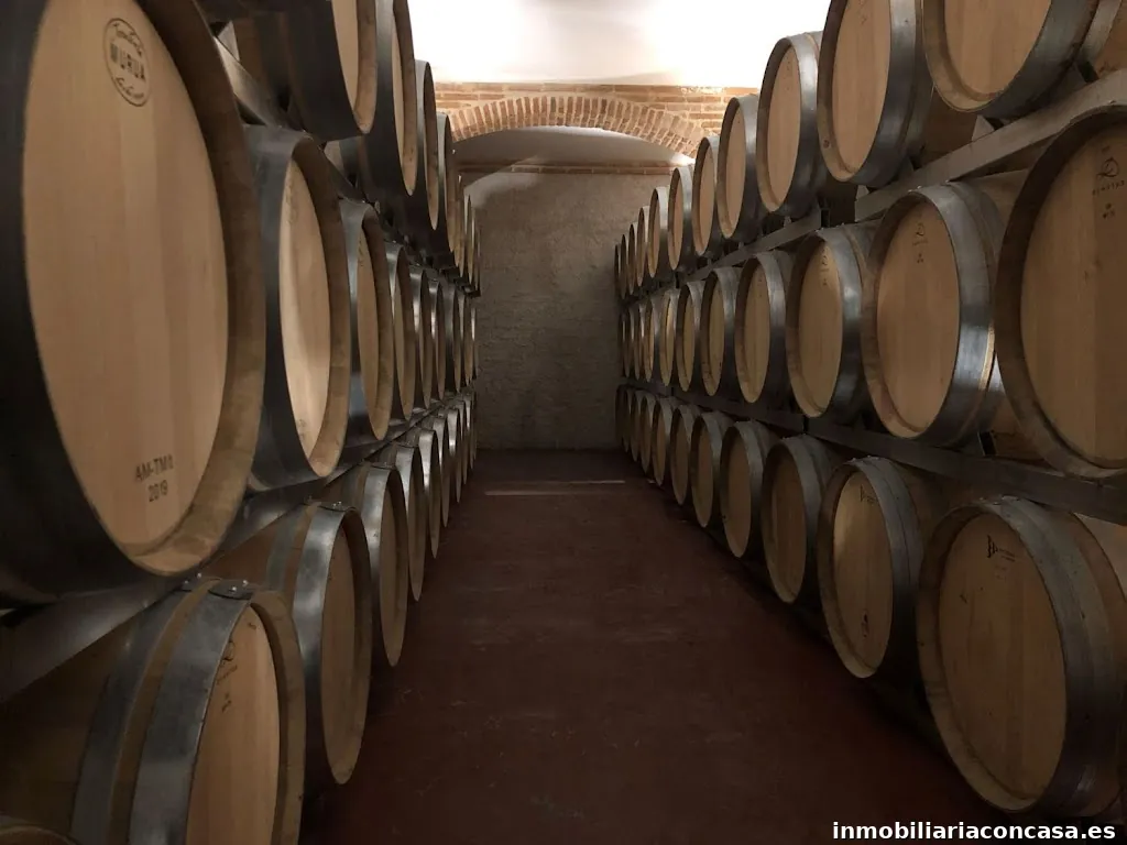Bodegas Figueroa | Bodega en Colmenar de Oreja (Madrid)