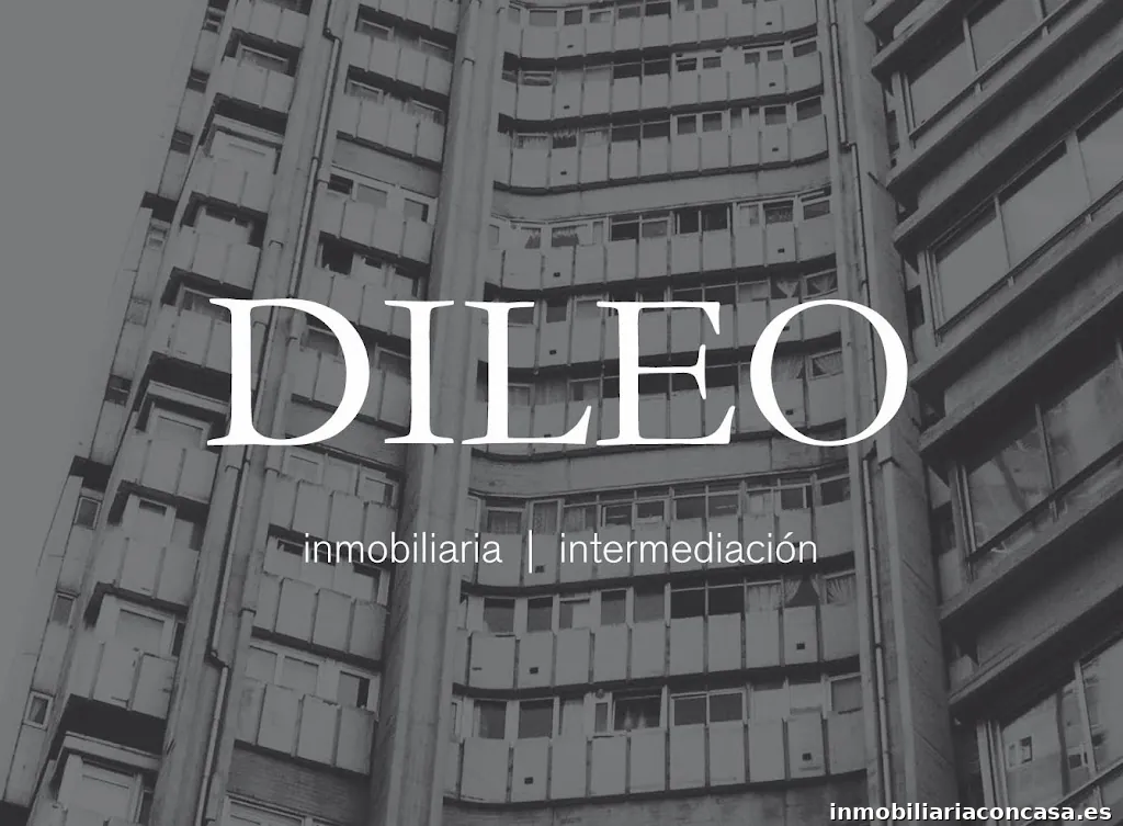 DILEO inmobiliaria