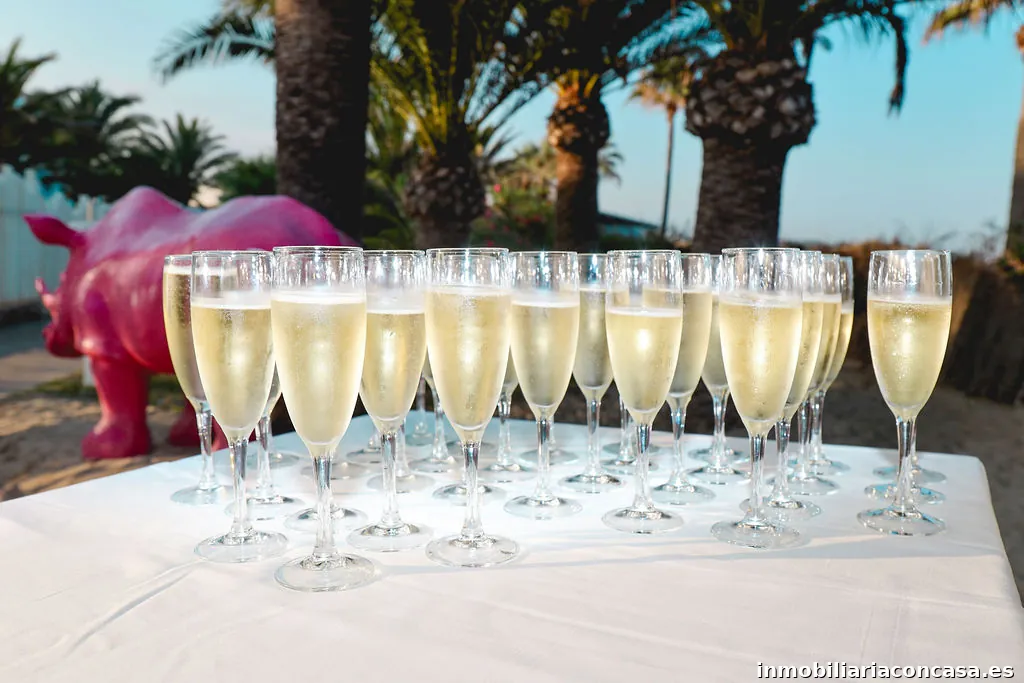 Avana Ibiza | events. villas. concierge.