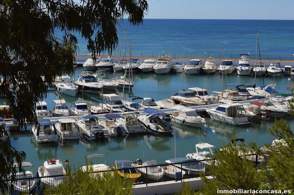 Probase International