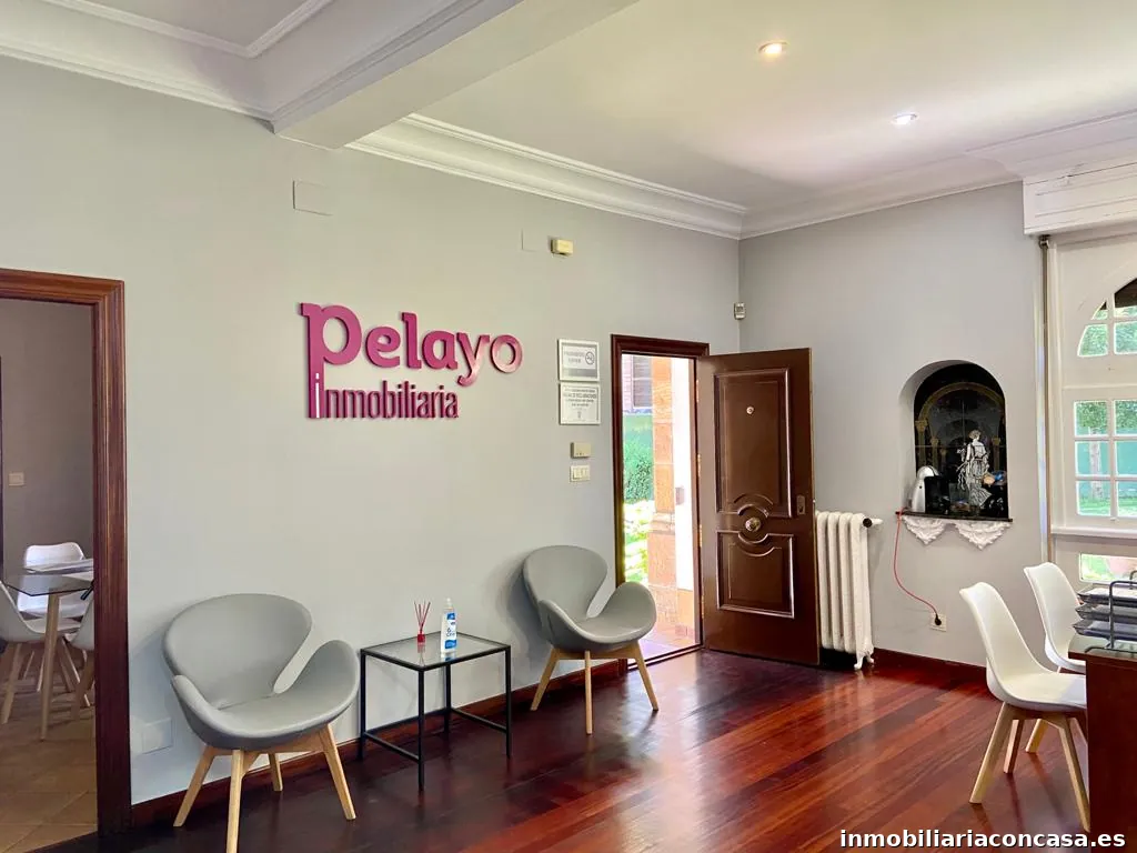 Inmobiliaria Pelayo S L