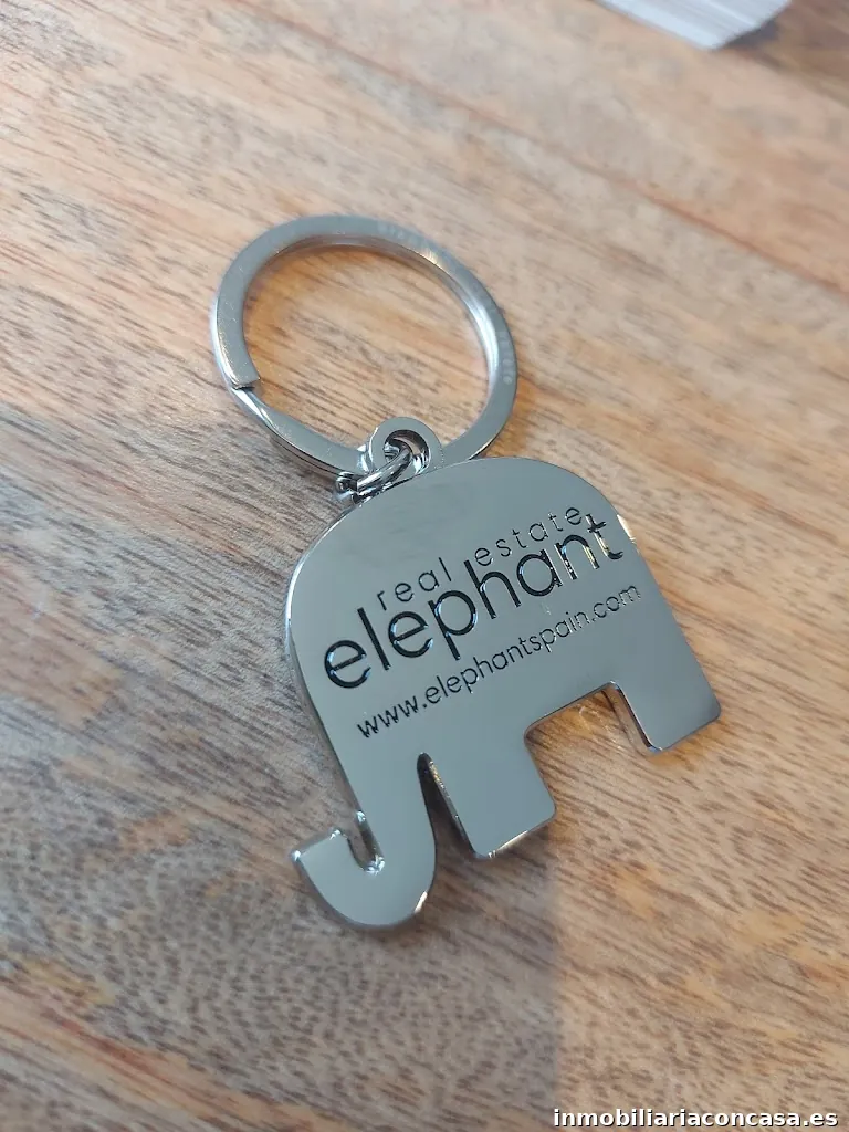 JORGE AVIVAR- Realtor Elephant Room Sevilla