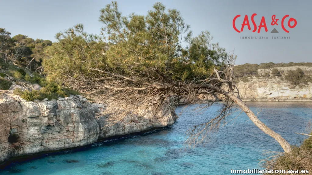Casa & Co immobilien Santanyí
