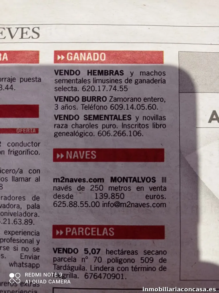 Imagen 1
