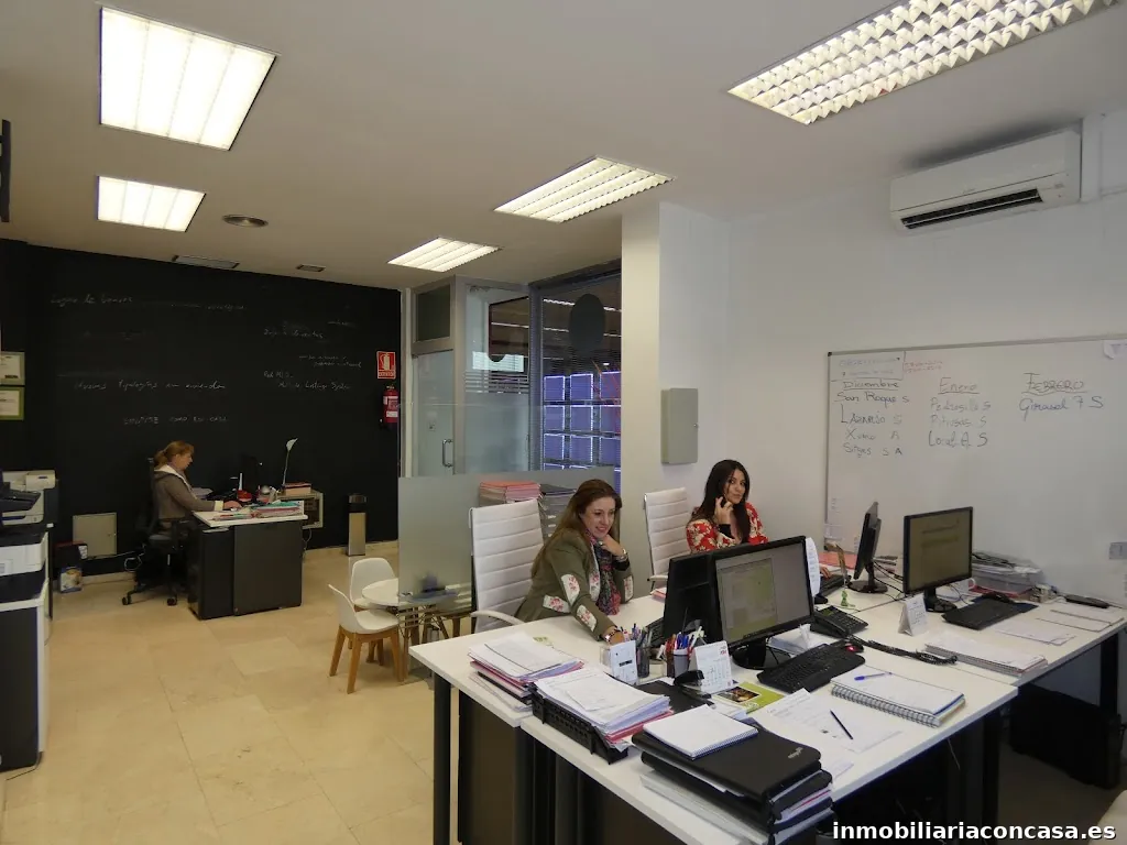Imagen 2