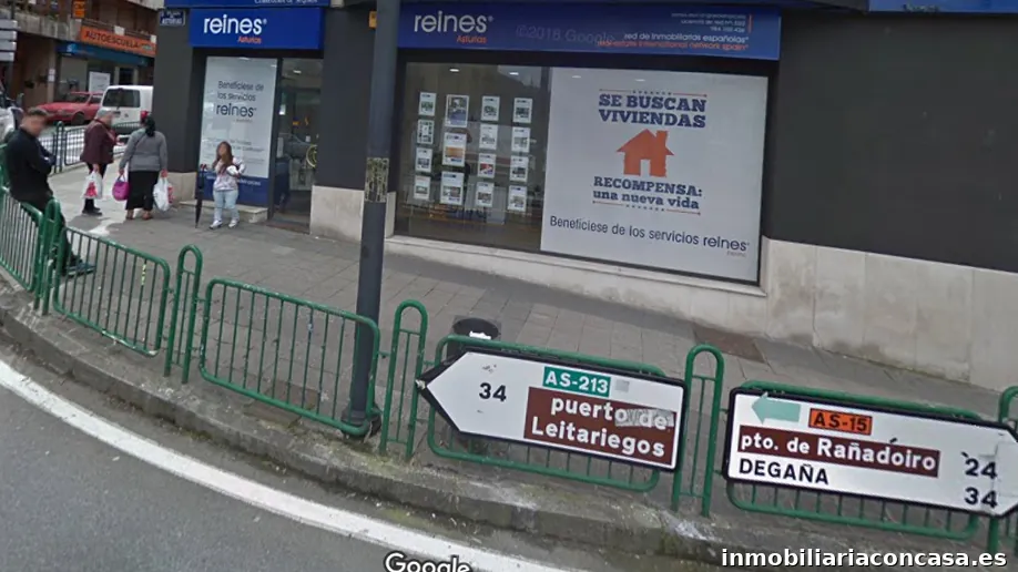 reines red de inmobiliarias españolas