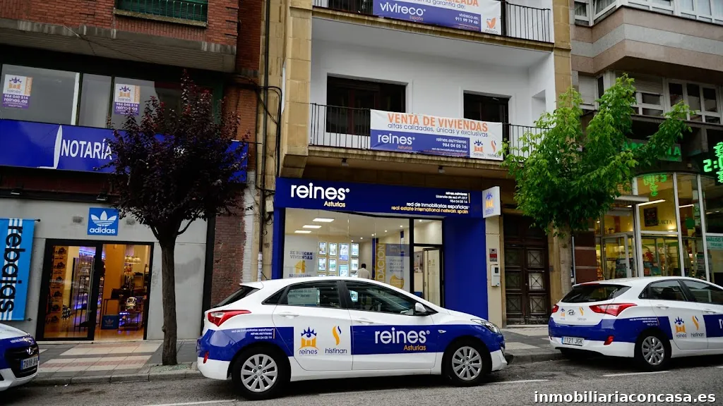 reines red de inmobiliarias españolas