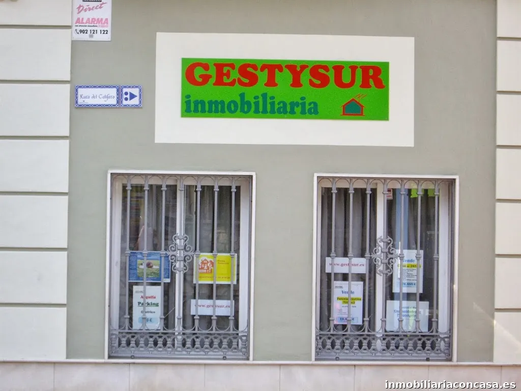 Gestysur Gestiones Inmobiliarias C.b.