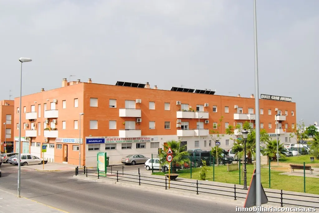 Imagen 2