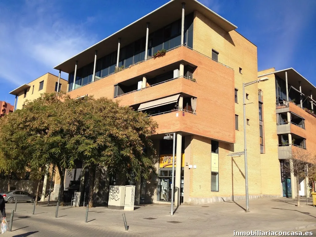 Imagen 2