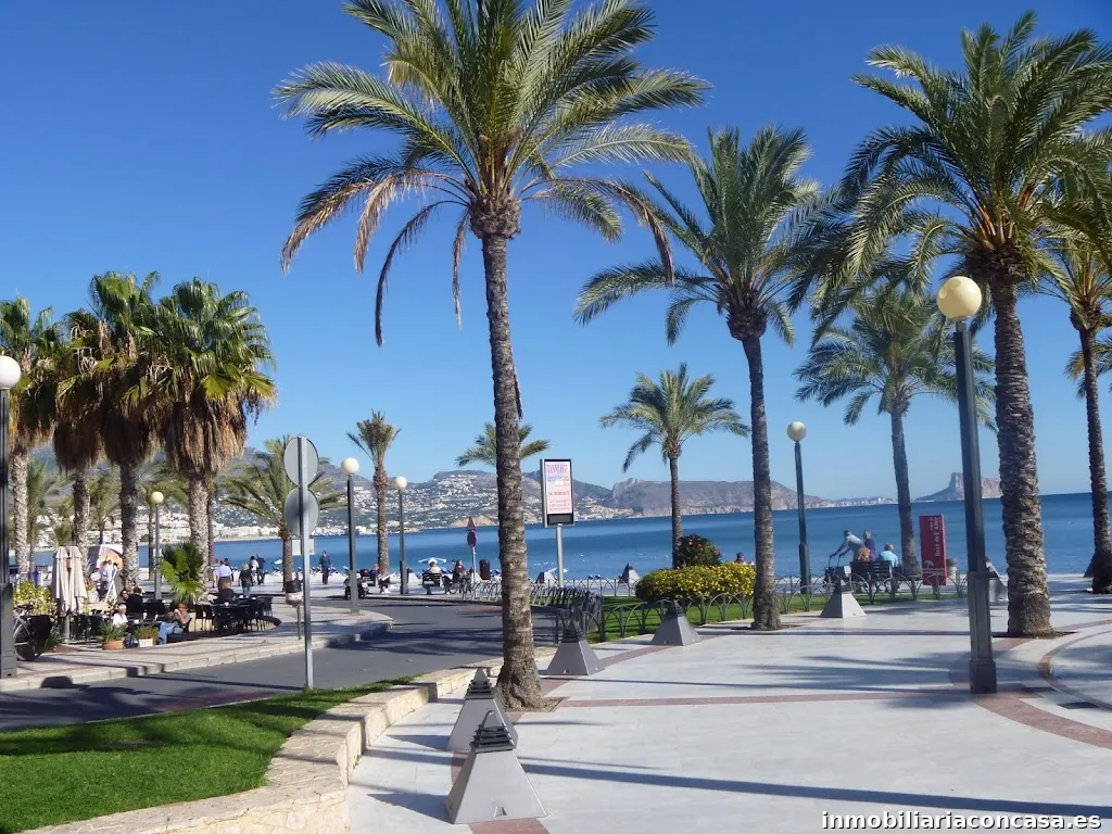 Come to Albir