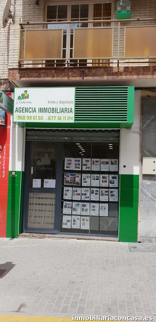 Imagen 3