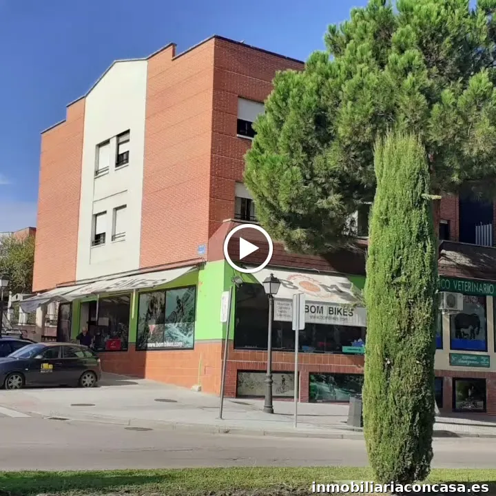 Susana Cabalgante Agente Inmobiliario de Villaviciosa de Odon (Madrid)