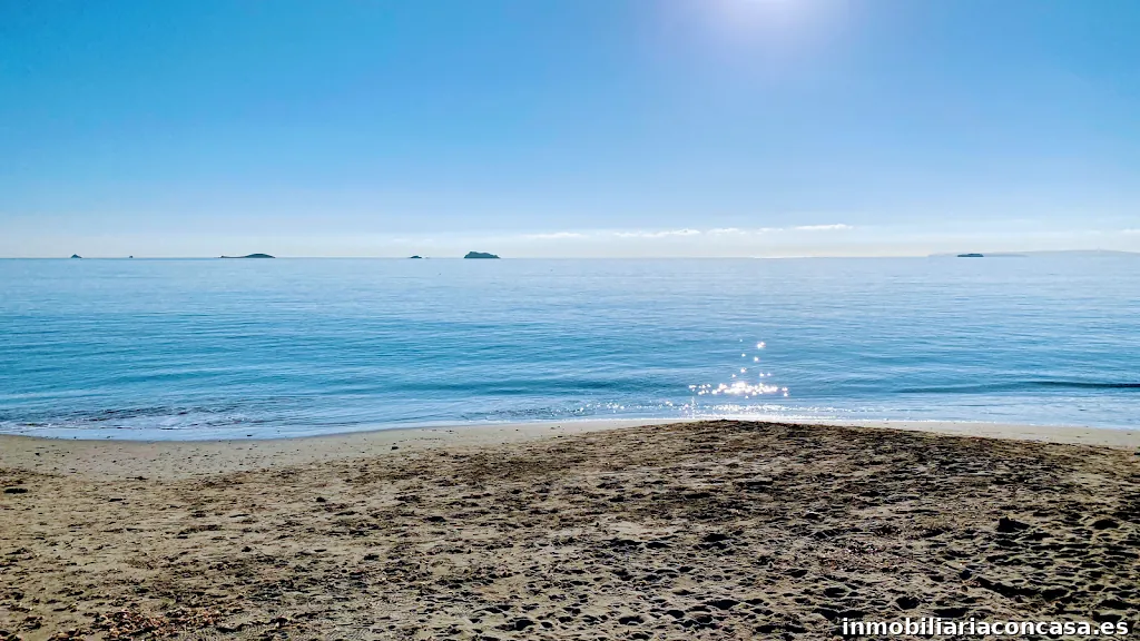 Ibiza TRT Gestión Inmobiliaria