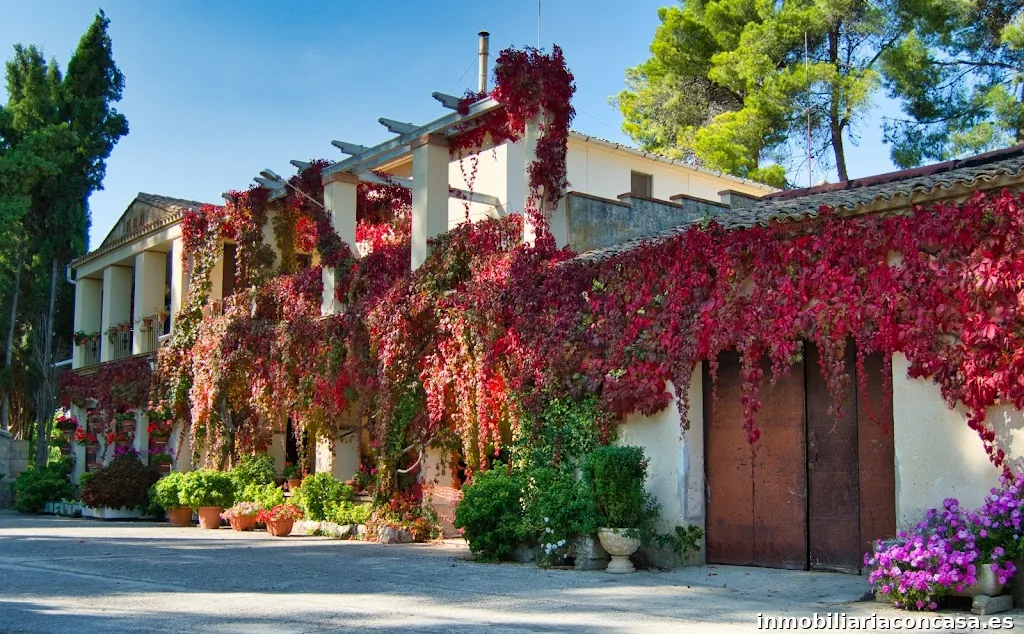 Inmobiliaria-Real Estate Agency I-LEVANTE