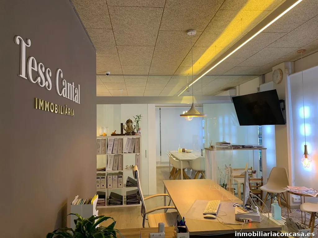 Tess Cantal Immobiliària