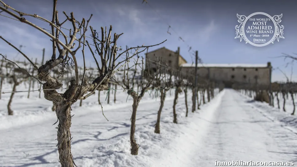 Familia Torres - Almacén