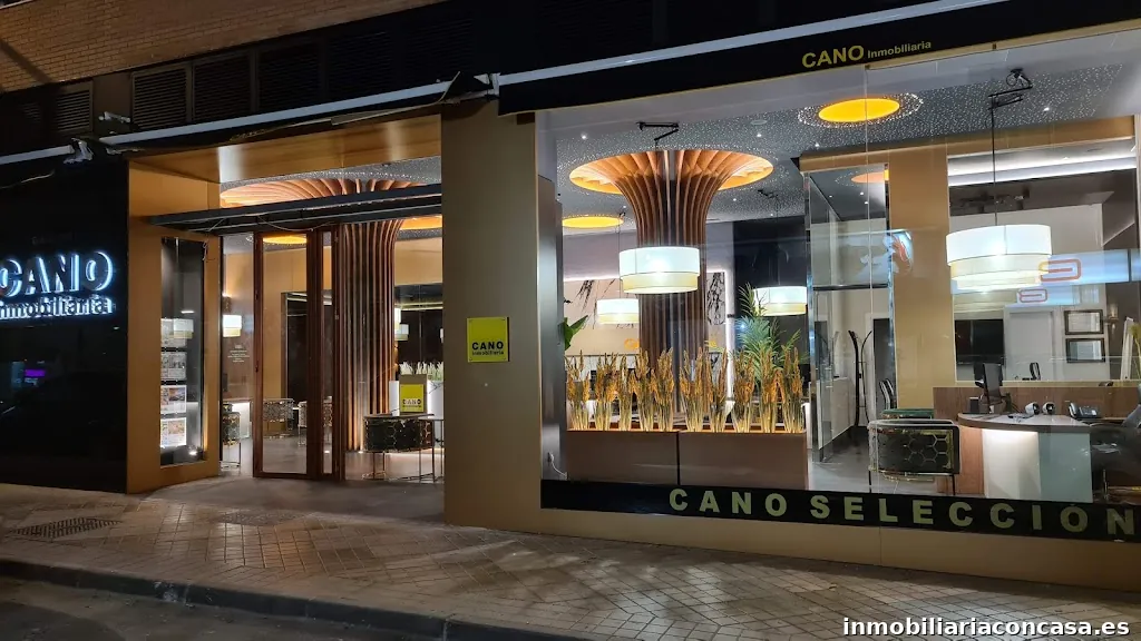 Cano Inmobiliaria