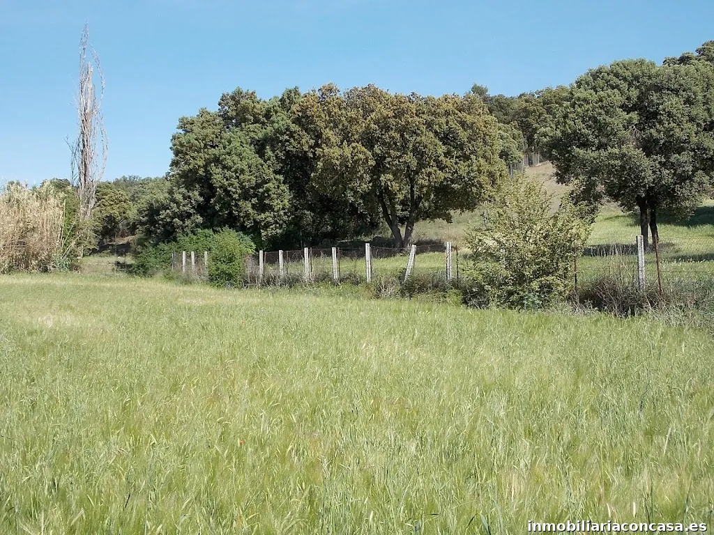 Inmobiliaria fincas rústicas y edificios singulares - Fincas Rústicas Viver