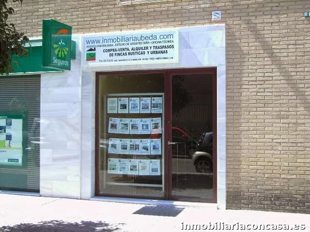 Imagen 3
