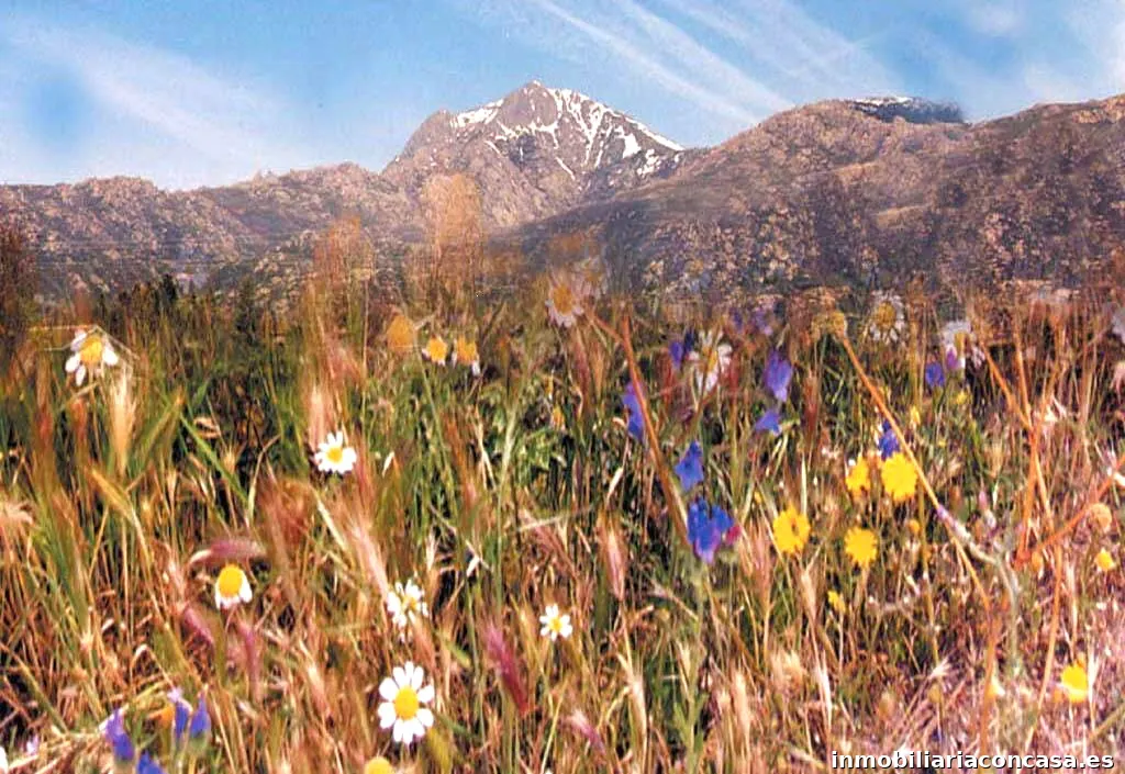 Promociones Villamaja,S.L.