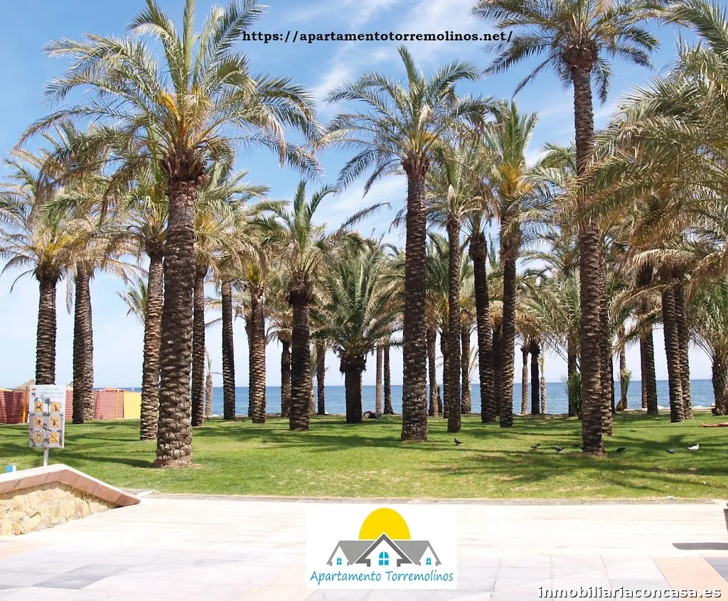 Apartamentotorremolinos