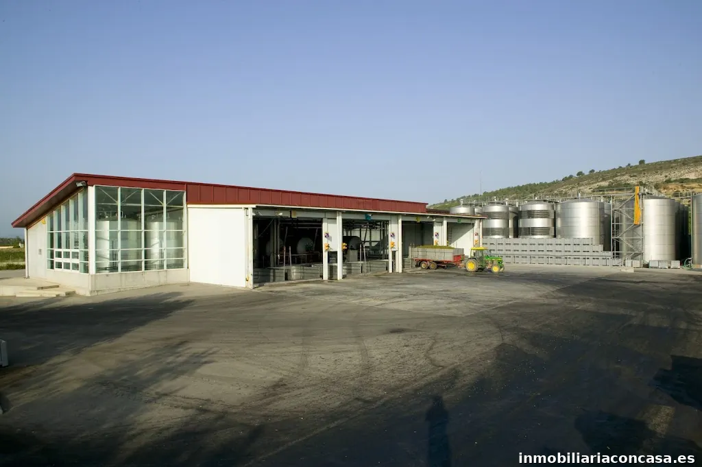 Covides Celler Vilafranca del Penedès