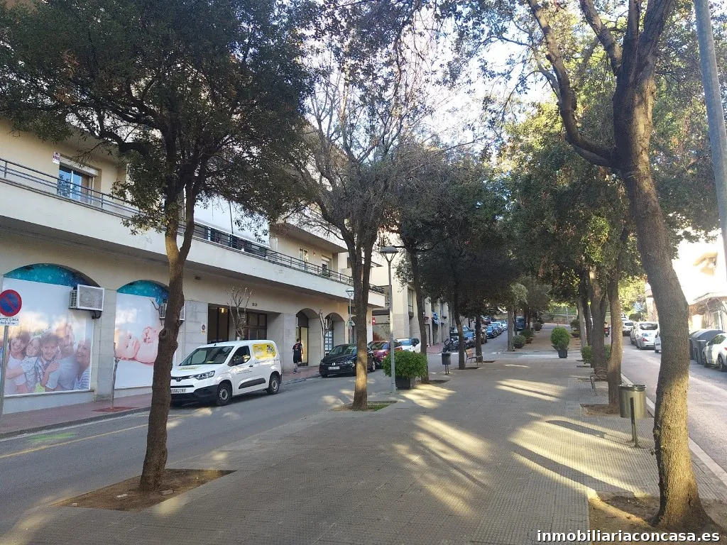 Imagen 2