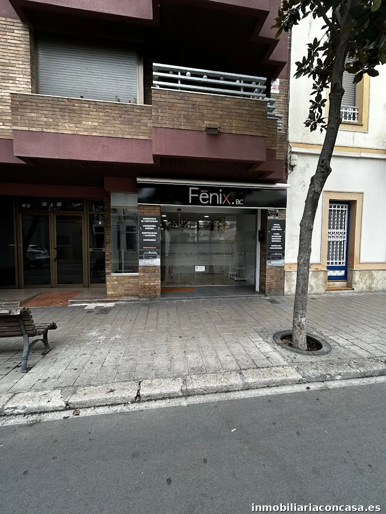 Imagen 2