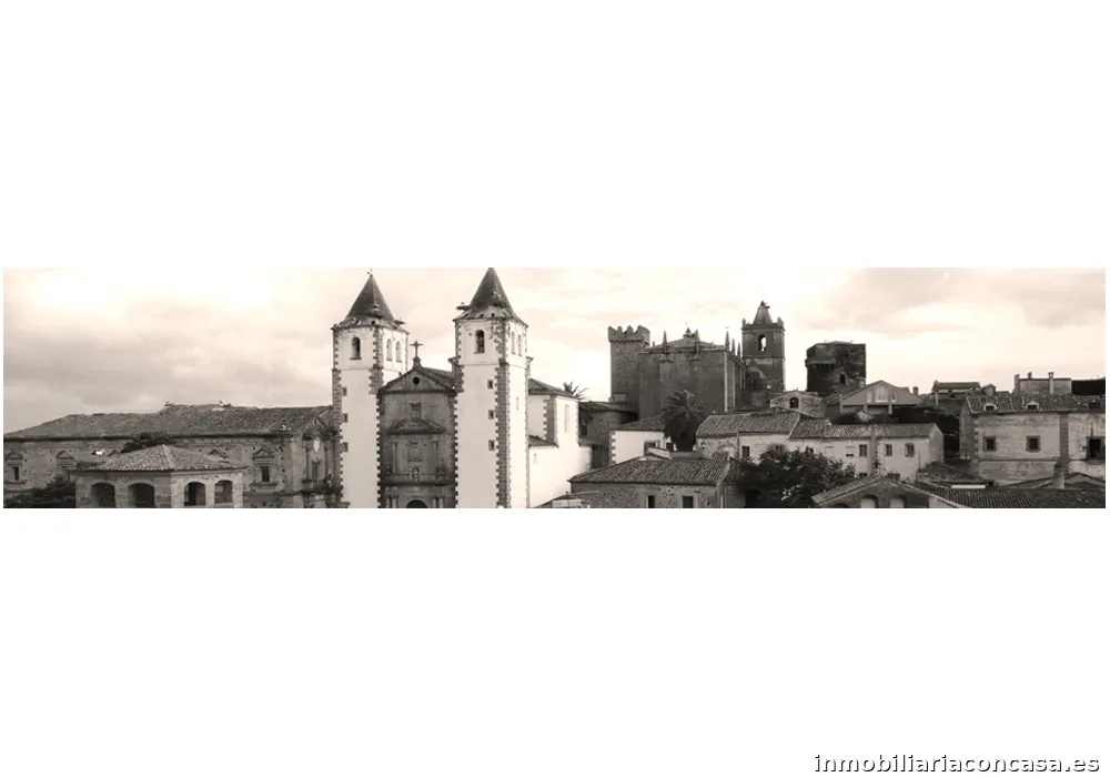 Inmobiliaria Manuel Casero. Inmobiliaria en Cáceres.