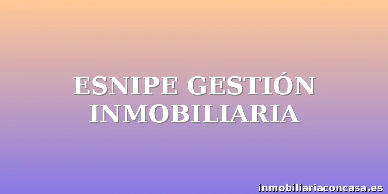 ESNIPE GESTIÓN INMOBILIARIA