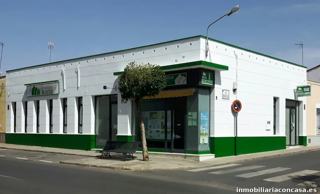 Inmobiliaria Montijo